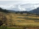 13148 Princes Highway, Brogo NSW 2550