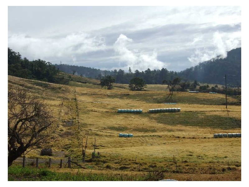 13148 Princes Highway, Brogo NSW 2550