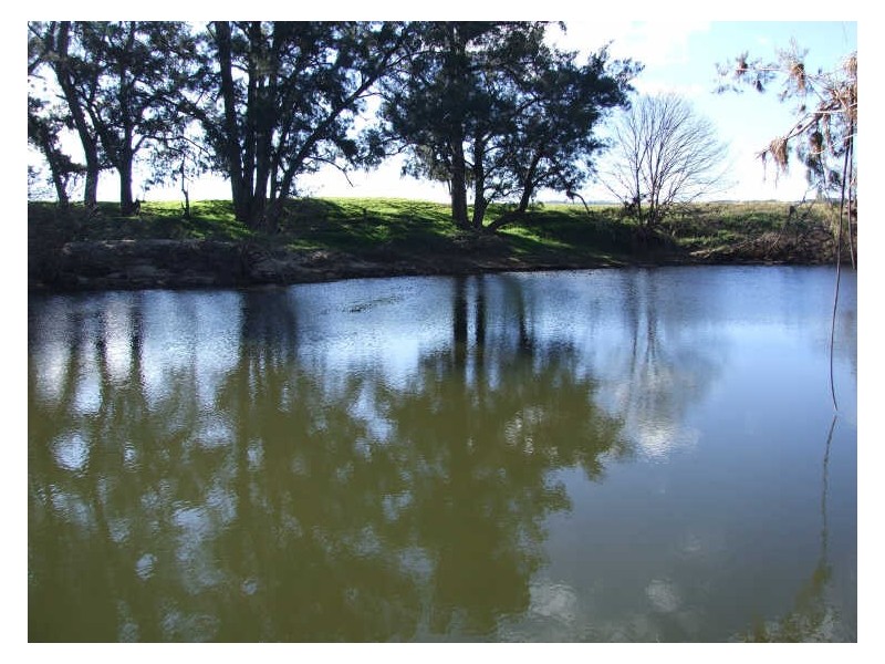 ‘Ayr Farm’ Warragaburra Lane, Bega NSW 2550