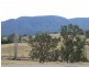 187 Yankee Gap Road, Bemboka NSW 2550