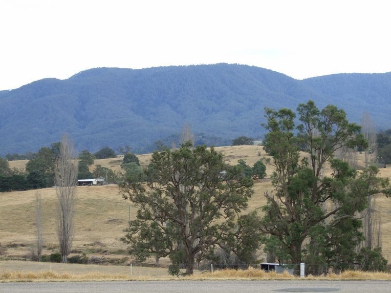 187 Yankee Gap Road, Bemboka NSW 2550