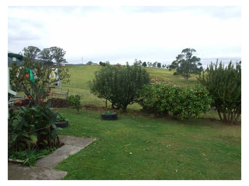187 Yankee Gap Road, Bemboka NSW 2550