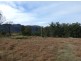 Lots 1 & 2 Yankees Gap Road, Bemboka NSW 2550