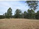 Lots 1 & 2 Yankees Gap Road, Bemboka NSW 2550