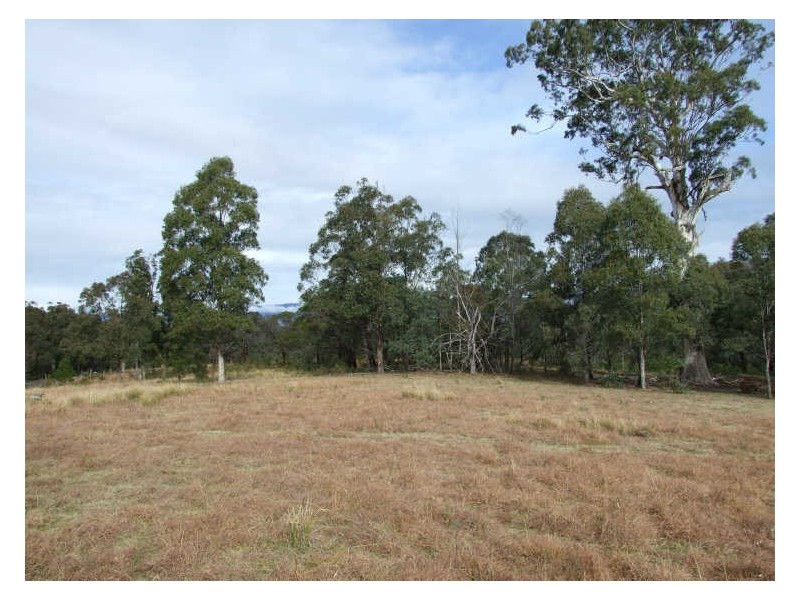Lots 1 & 2 Yankees Gap Road, Bemboka NSW 2550