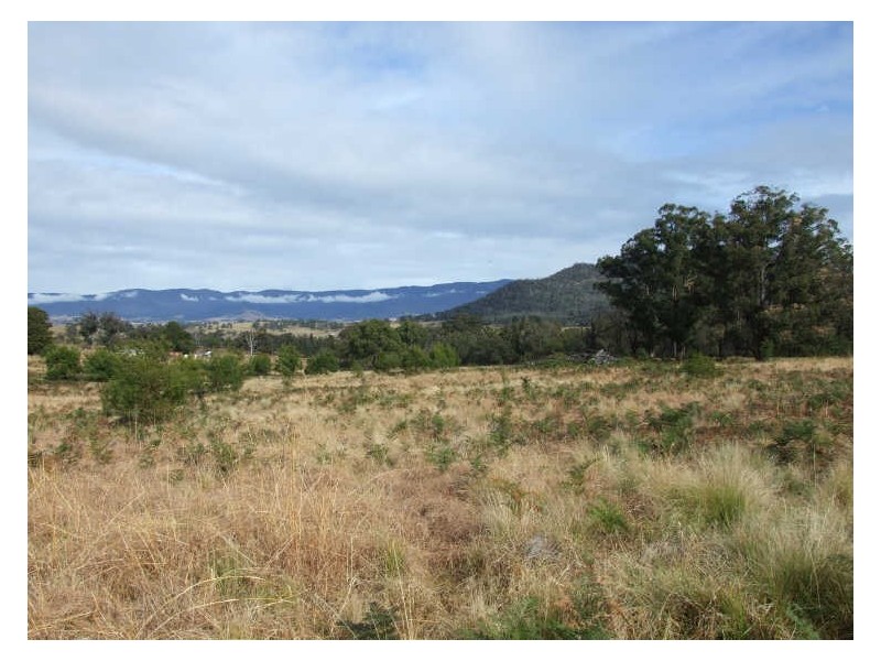 Lot 3 Yankees Gap Road, Bemboka NSW 2550
