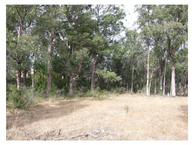 Lot 3 Yankees Gap Road, Bemboka NSW 2550