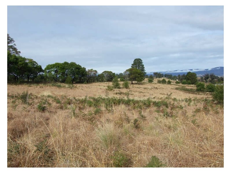 Lot 3 Yankees Gap Road, Bemboka NSW 2550