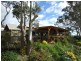 Bega NSW 2550