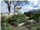 Bega NSW 2550