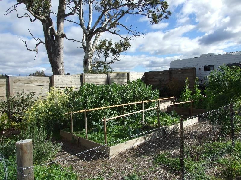 Bega NSW 2550