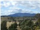 Bega NSW 2550