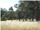 Lot 4 Candelo – Wolumla Road, Wolumla NSW 2550