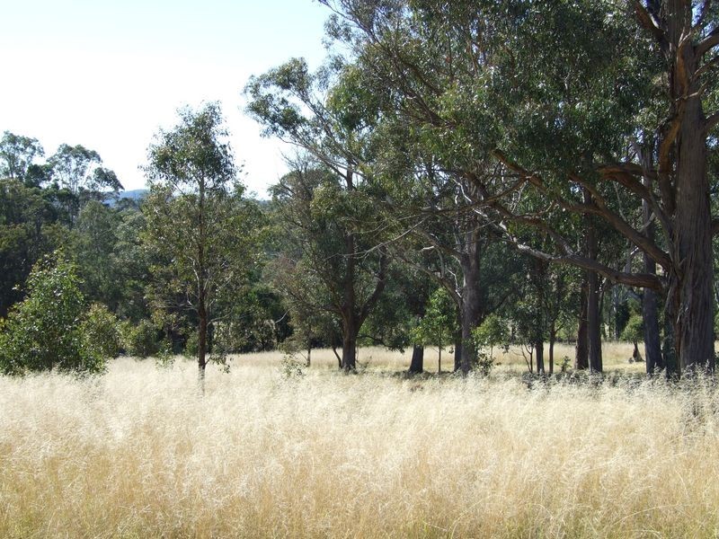 Lot 4 Candelo – Wolumla Road, Wolumla NSW 2550