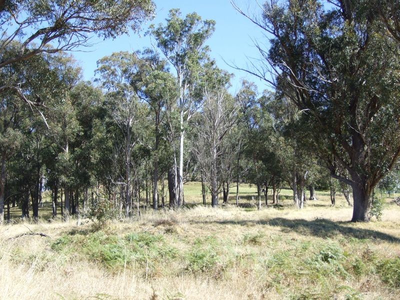 Lot 4 Candelo – Wolumla Road, Wolumla NSW 2550