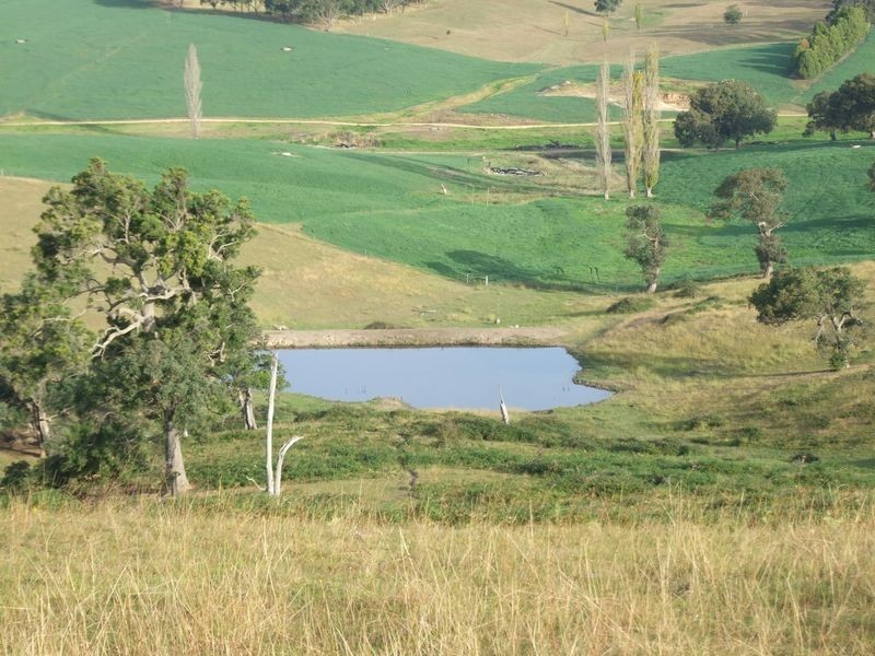 178 Wyndham Lane, Candelo NSW 2550