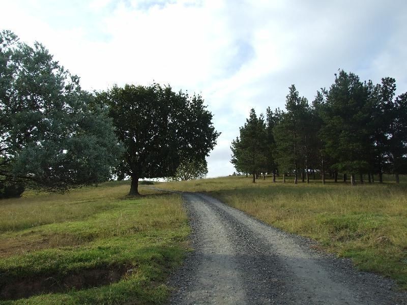 178 Wyndham Lane, Candelo NSW 2550