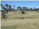 297 Wanatta Lane, Wolumla NSW 2550