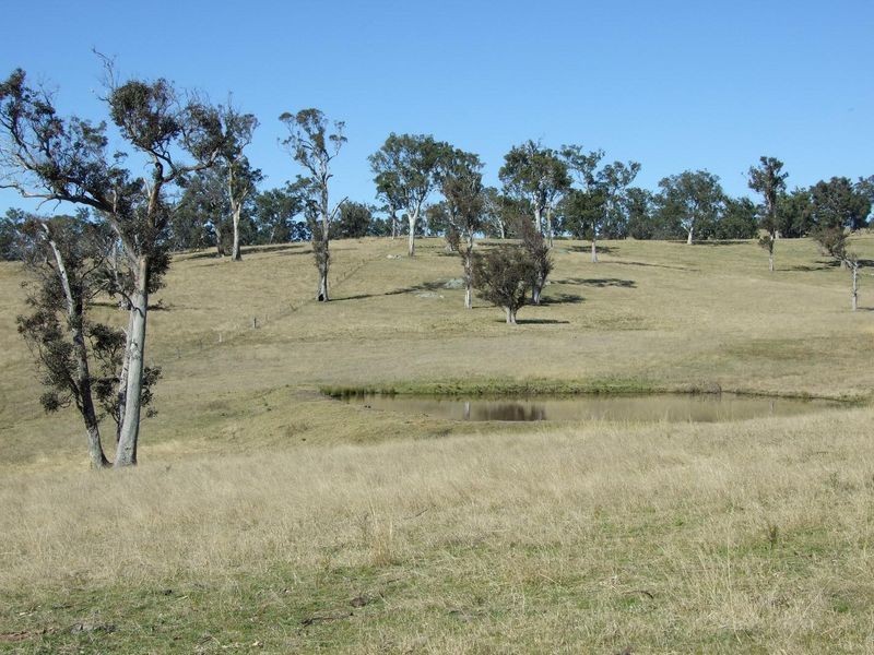 297 Wanatta Lane, Wolumla NSW 2550