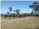 297 Wanatta Lane, Wolumla NSW 2550