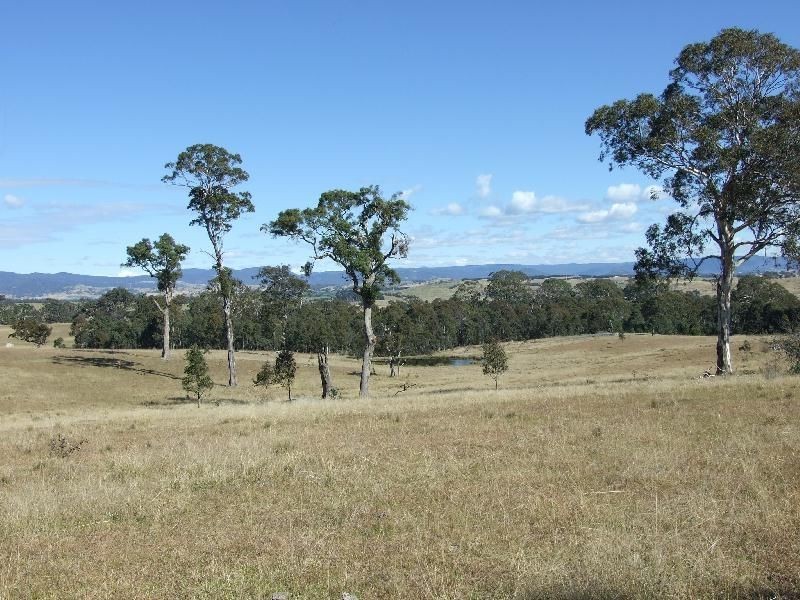 297 Wanatta Lane, Wolumla NSW 2550