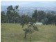 Bega NSW 2550