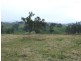 Bega NSW 2550