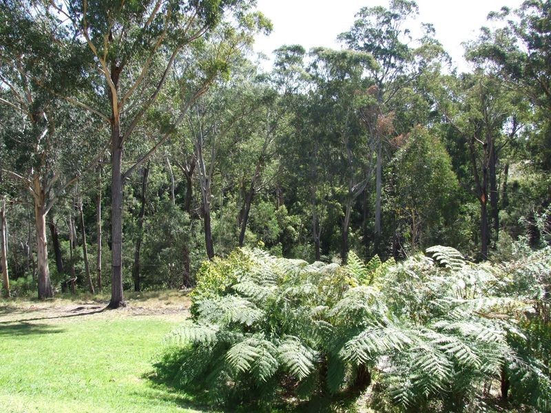 28 Jellat Way, Kalaru NSW 2550