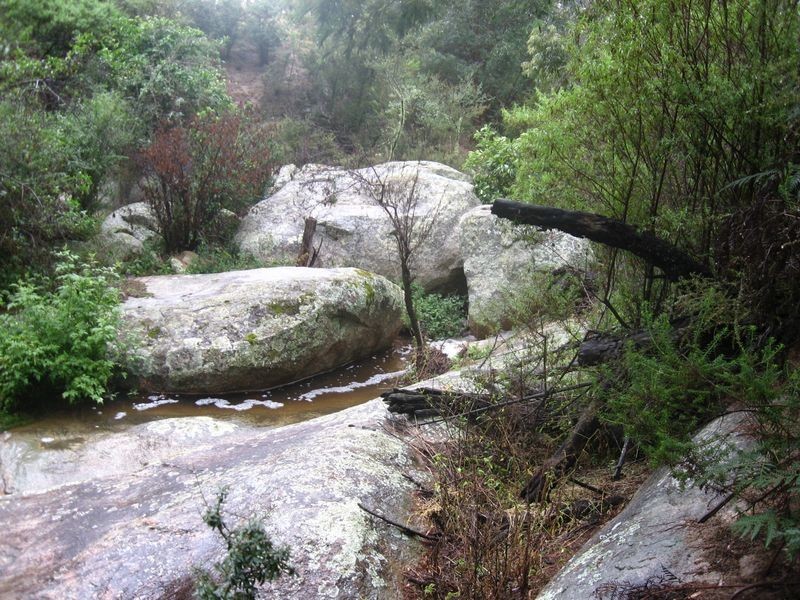 1188 Sams Corner Road, Bemboka NSW 2550