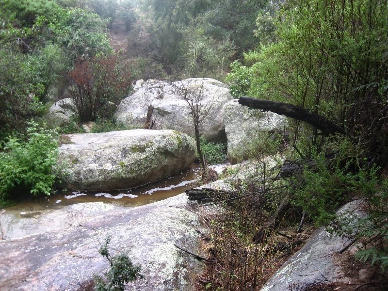 1188 Sams Corner Road, Bemboka NSW 2550