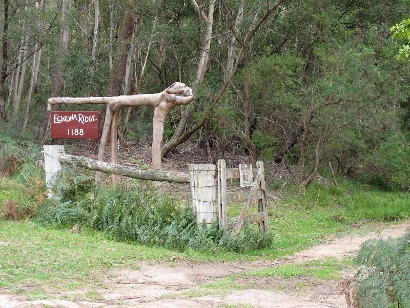 1188 Sams Corner Road, Bemboka NSW 2550