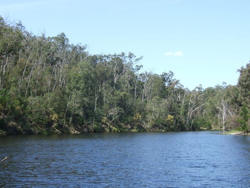 1949 Upper Brogo Road, Brogo NSW 2550