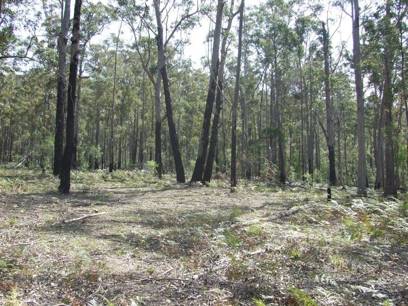 1949 Upper Brogo Road, Brogo NSW 2550