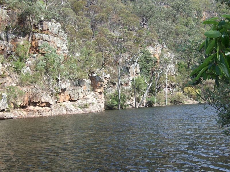 1949 Upper Brogo Road, Brogo NSW 2550