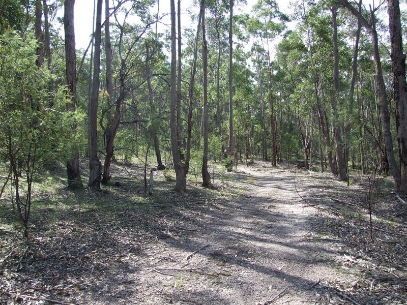 1949 Upper Brogo Road, Brogo NSW 2550
