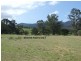 1949 Upper Brogo Road, Brogo NSW 2550