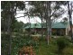 21 Cherry Lane, Wolumla NSW 2550
