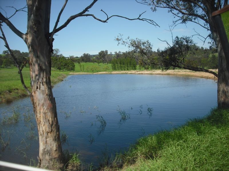 123 Rankins Road, Cobargo NSW 2550