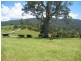 180 Quinlans Road, Cobargo NSW 2550