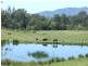 180 Quinlans Road, Cobargo NSW 2550