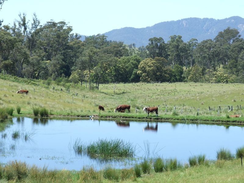 180 Quinlans Road, Cobargo NSW 2550