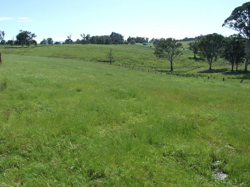180 Quinlans Road, Cobargo NSW 2550