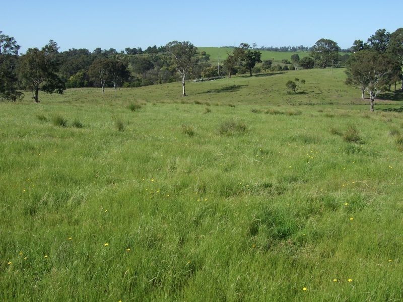 180 Quinlans Road, Cobargo NSW 2550