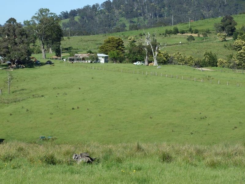 180 Quinlans Road, Cobargo NSW 2550