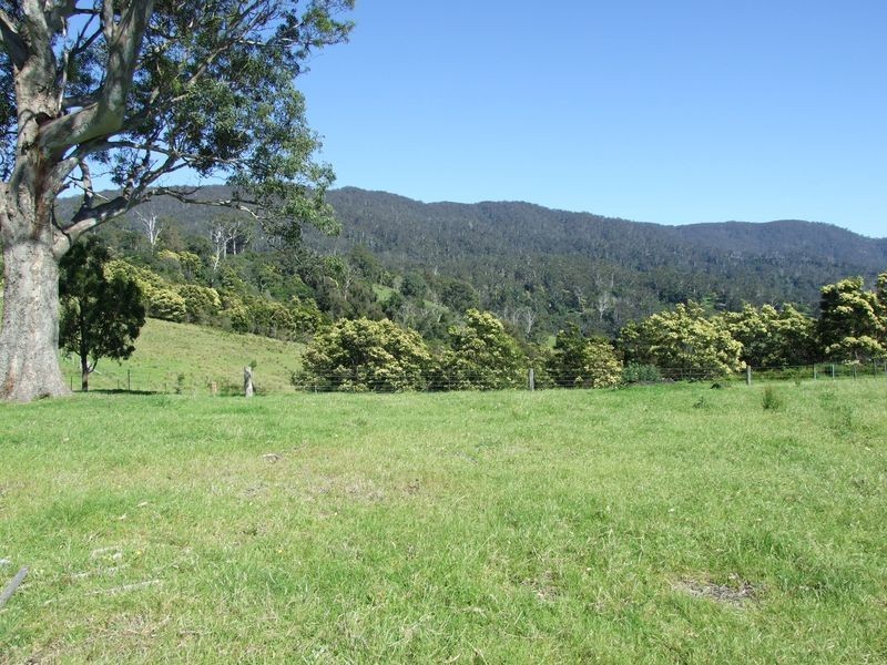180 Quinlans Road, Cobargo NSW 2550
