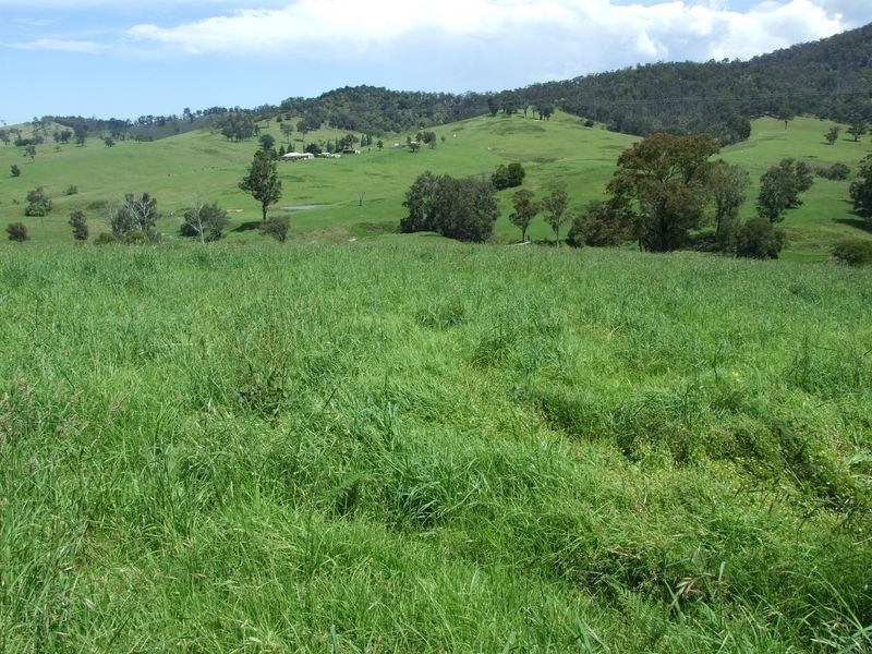 various @ Gilberts Road, Quaama NSW 2550