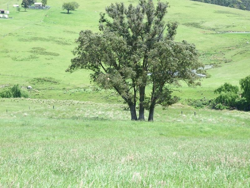 various @ Gilberts Road, Quaama NSW 2550