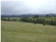 Bemboka NSW 2550
