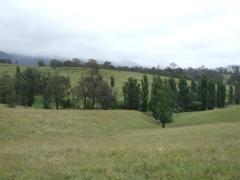 Bemboka NSW 2550