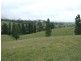 Bemboka NSW 2550